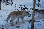 012_2009-0214-1400-38.jpg